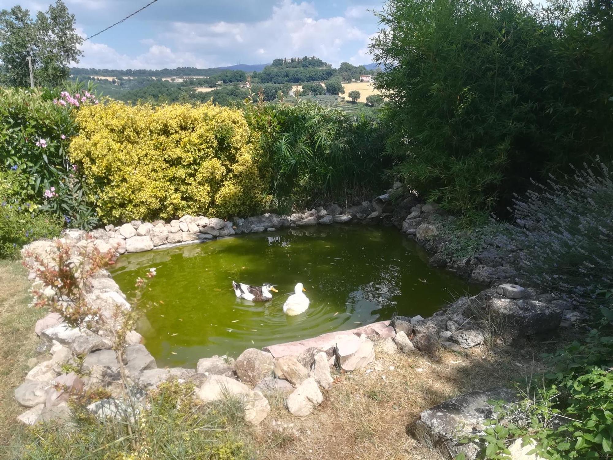 La Piccola Fattoria Villa Todi Exterior photo