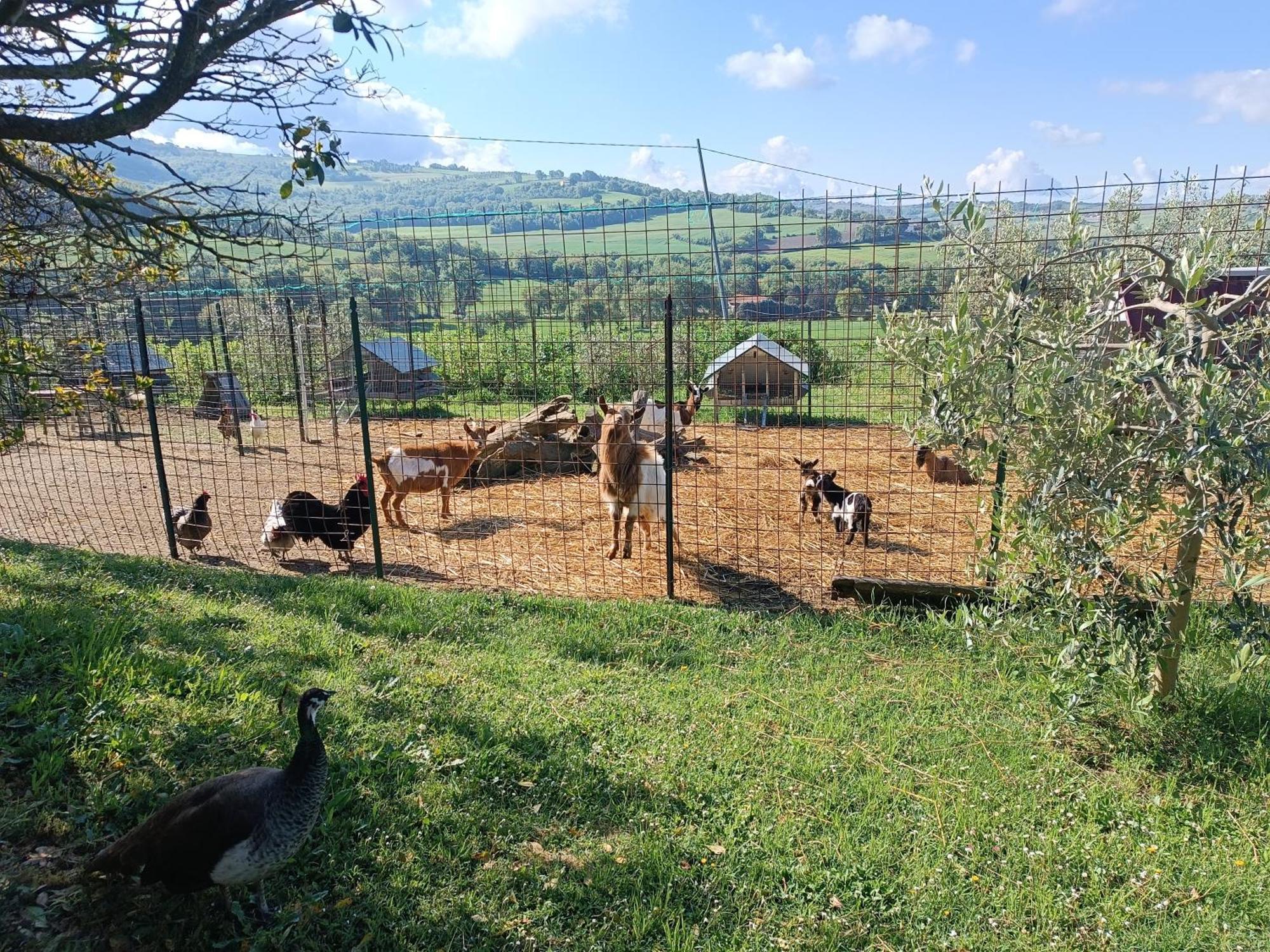 La Piccola Fattoria Villa Todi Exterior photo